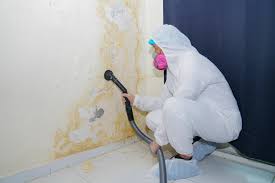 Best Residential Mold Inspection & Testing  in Rolling Hills Estates, CA